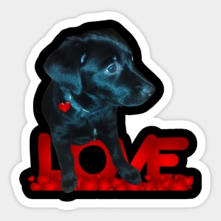 My Black Dog Sticker